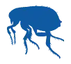 bed bug pest control Leeds