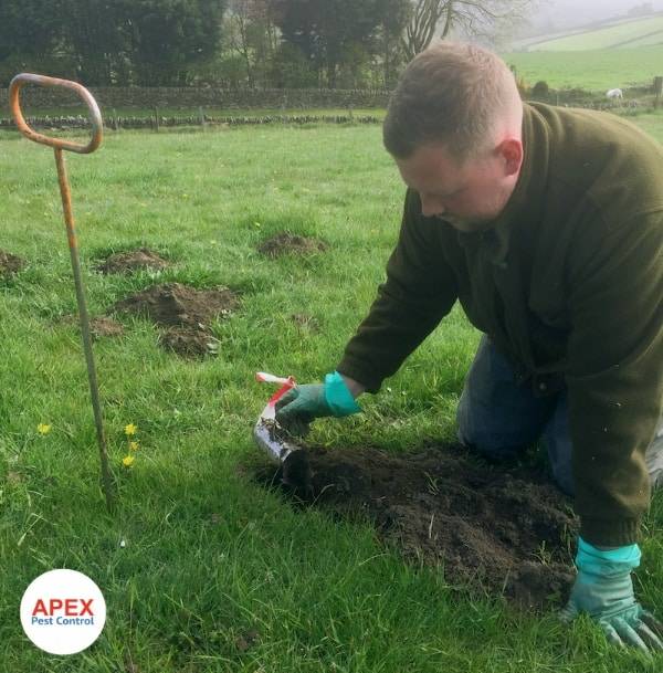 mole control