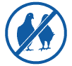 bird proffing apex pest control leeds