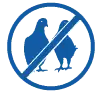 bird proffing apex pest control leeds