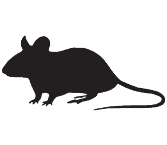 mouse exterminator
