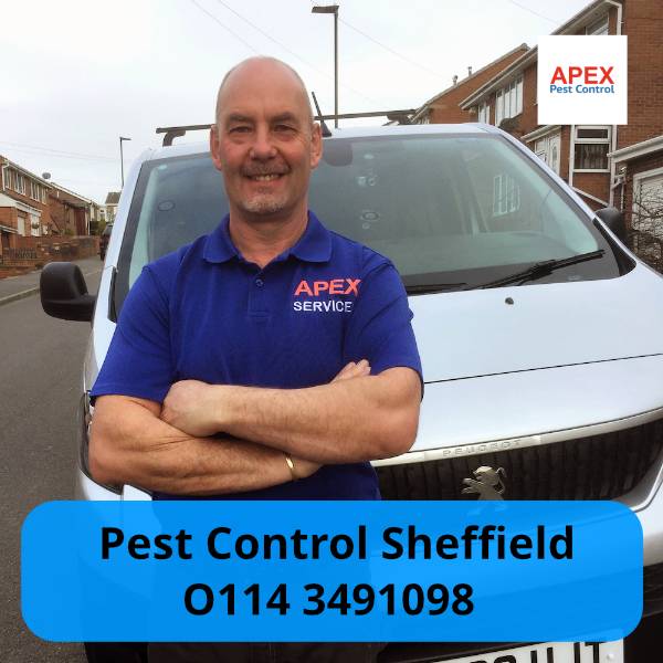 pes control sheffield
