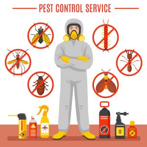 pest control companies in Sheffield