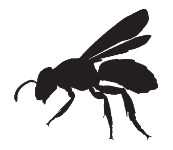 wasp exterminator